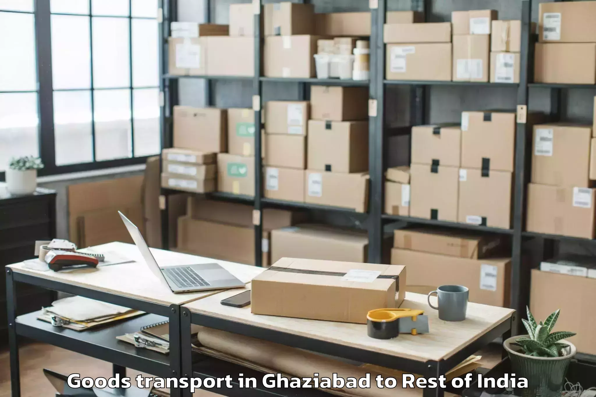 Professional Ghaziabad to Nafra Goods Transport